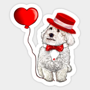 The Best Valentine’s Day Gift ideas top 10, Cavalier king charles spaniel fancy dress red bow tie and hat, white Cavoodle Cavapoo Valentines day Sticker